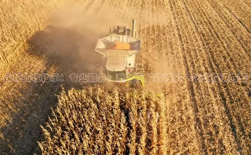 必发集团welcome欢迎光临